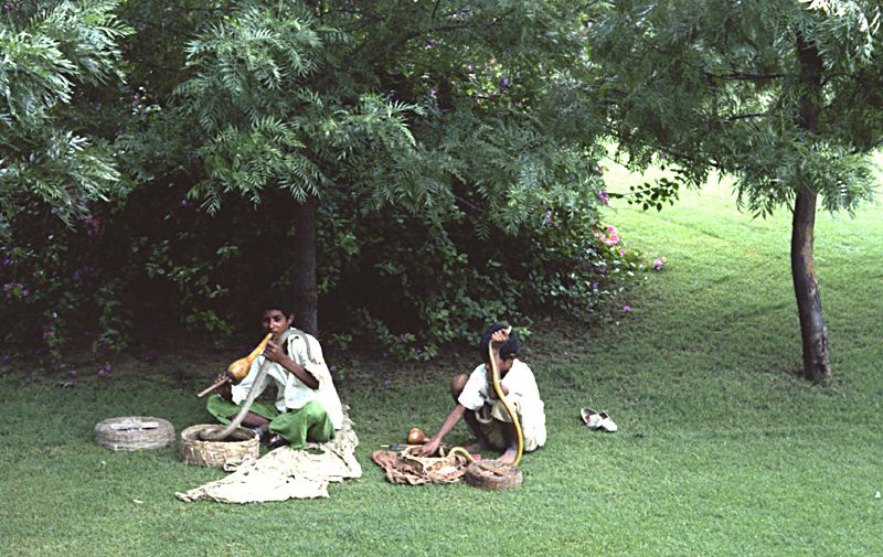 Chandigarh 1978